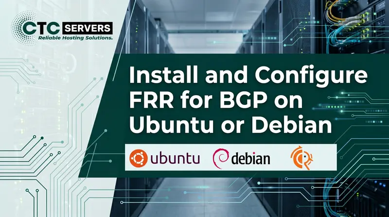 Dedicated Servers vs Peer To Peer - CTCservers